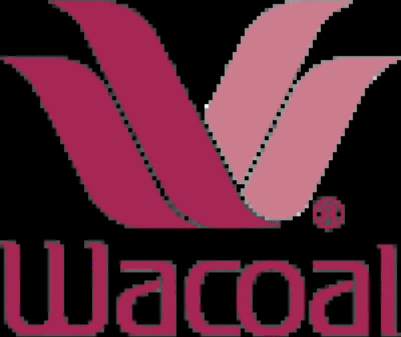 Wacoal Holdings Corporation