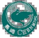 Shandong Chenming Paper Holdings Limited