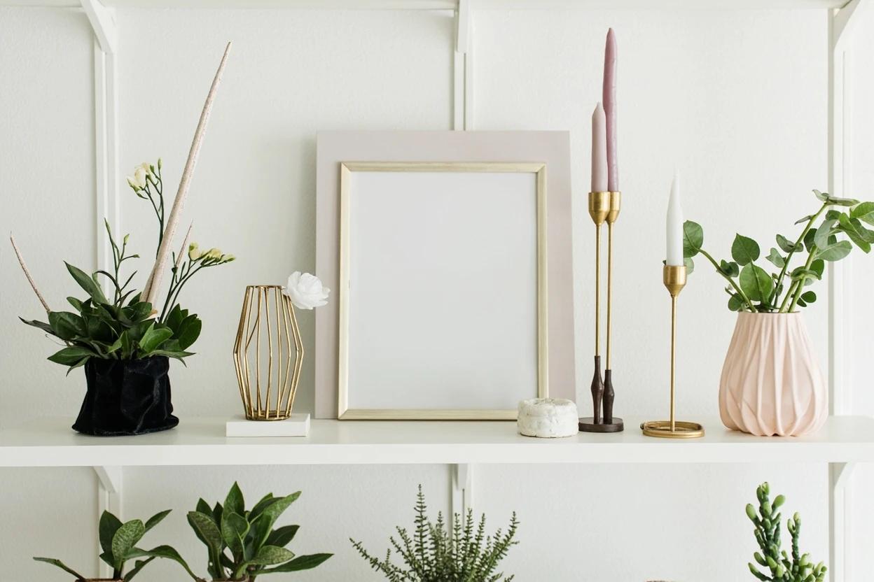 Indoor Plants & Planters in 2026: Market Surges to $6.1 Billion as 'Fewer, Larger' Trend Redefines Home Decor