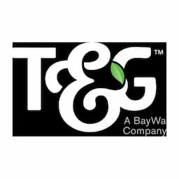 T&G Global Limited